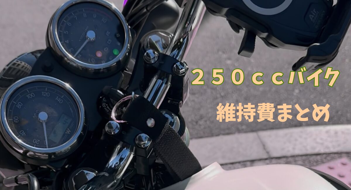 ｗ２３０に乗っている５０代が年間にかかる維持費を公開。